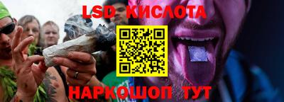 прущие грибы Татарск