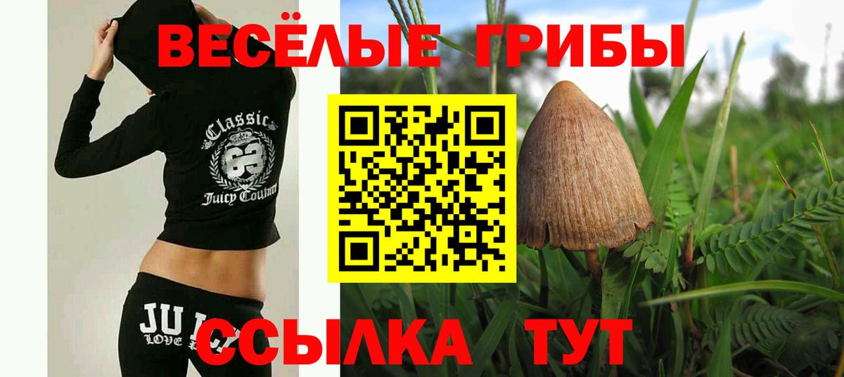 Псилоцибиновые грибы Psilocybine cubensis  Вход с VPN  Наро-Фоминск  Псилоцибиновые грибы Psilocybe 